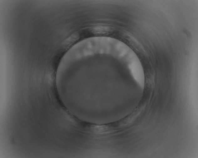 X0000116420277200912291854
