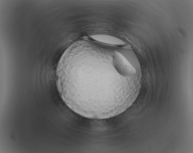 X0000116420281200912291855