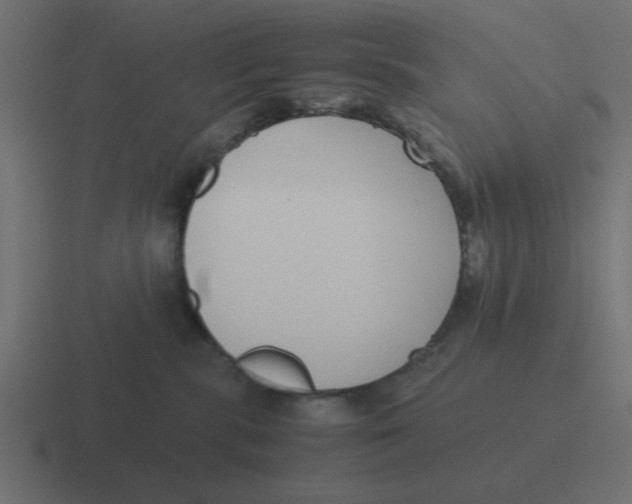 X0000116420283200912291855