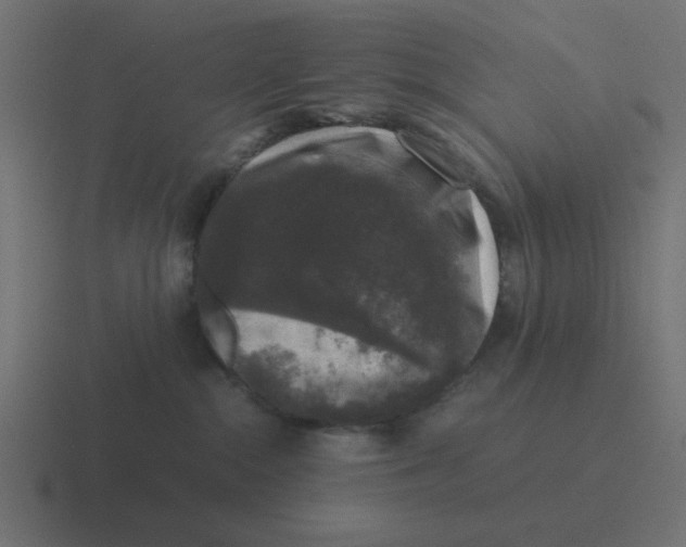 X0000116420284200912291855