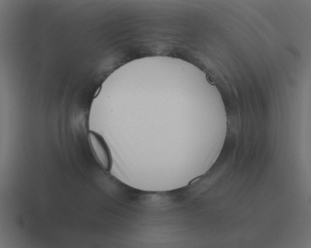 X0000116420286200912291855