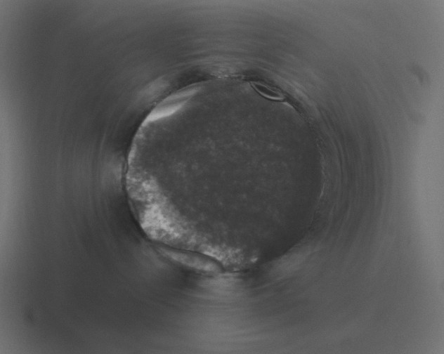X0000116420288200912291855
