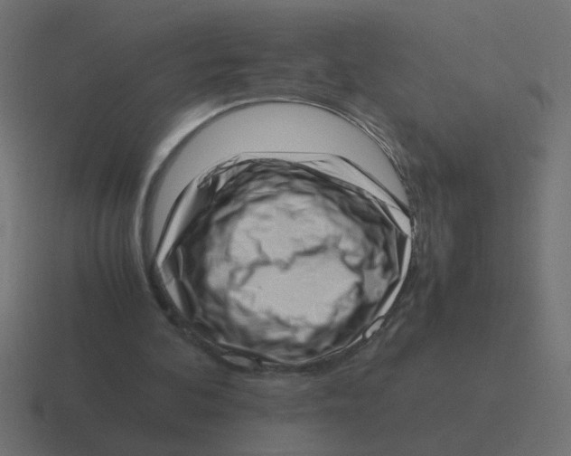X0000116420292200912291854