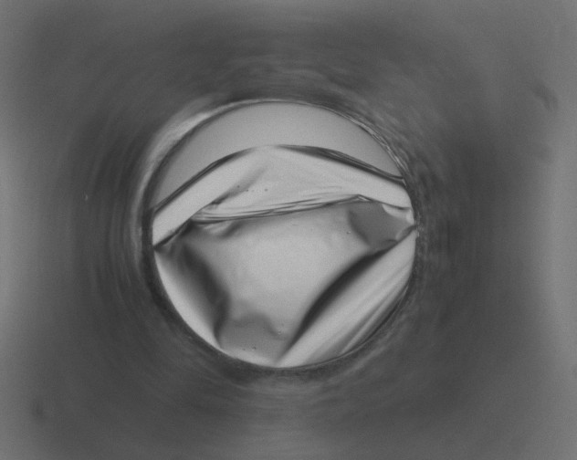 X0000116420294200912291854