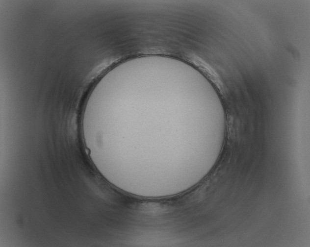 X0000116420298200912291854