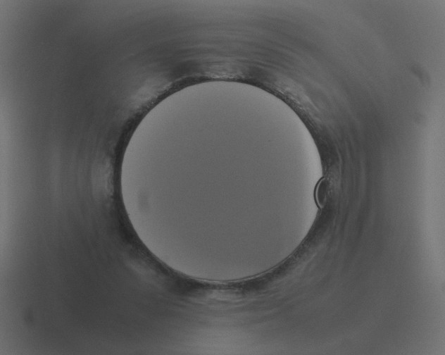 X0000116420303200912291854