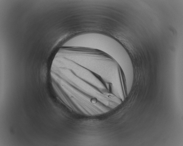 X0000116420304200912291854
