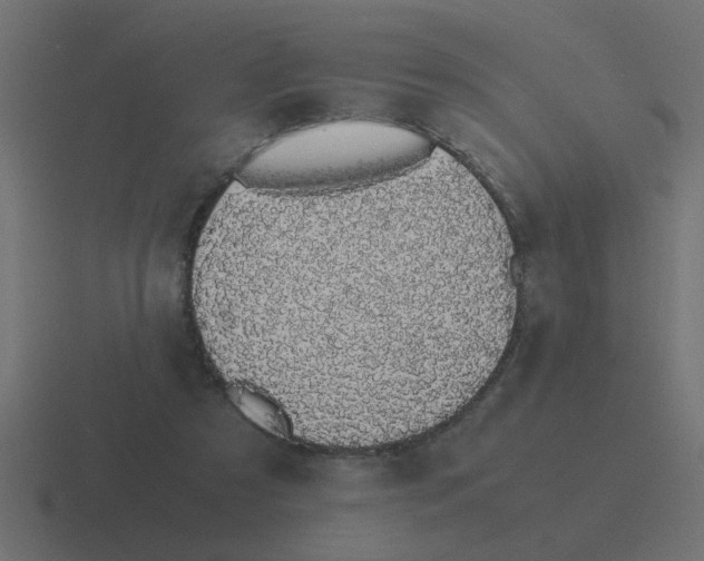 X0000116420305200912291854