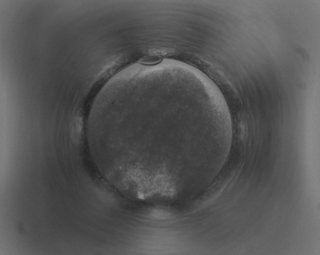 X0000116420308200912291854