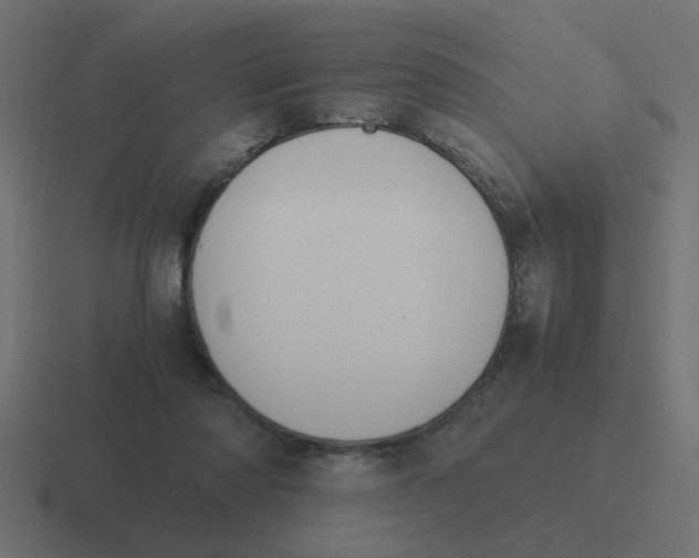 X0000116420310200912291854