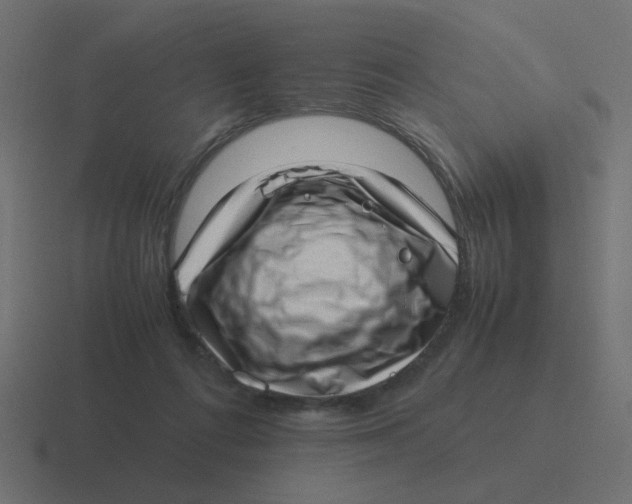 X0000116420312200912291854