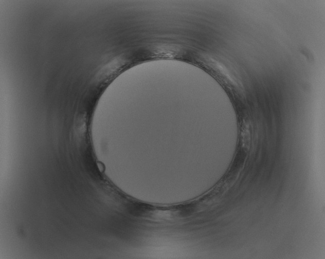 X0000116420314200912291854