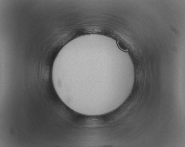X0000116420315200912291854