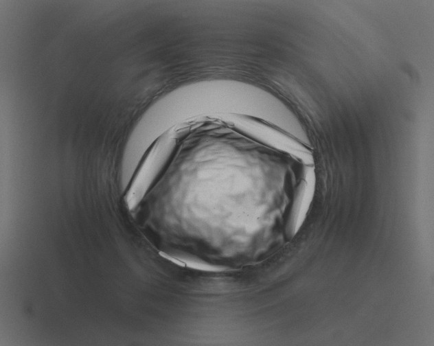 X0000116420316200912291854