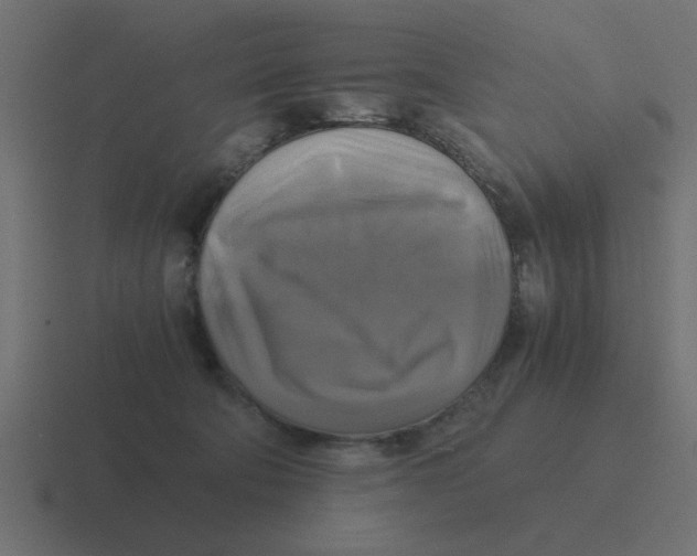 X0000116420322200912291854
