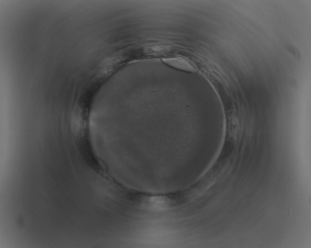 X0000116420324200912291854