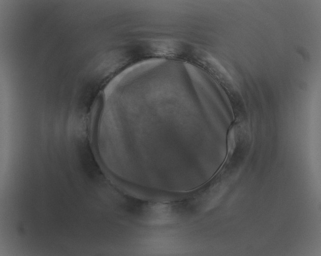 X0000116420325200912291854