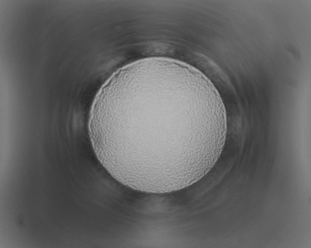 X0000116420326200912291854