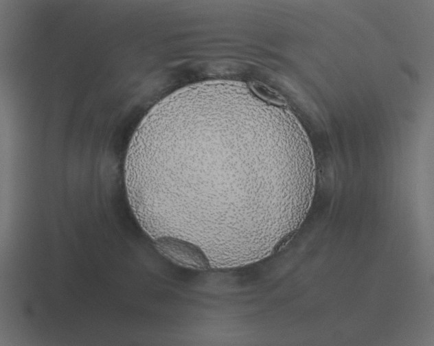 X0000116420327200912291854