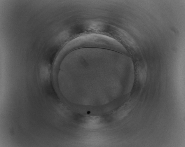 X0000116420328200912291854
