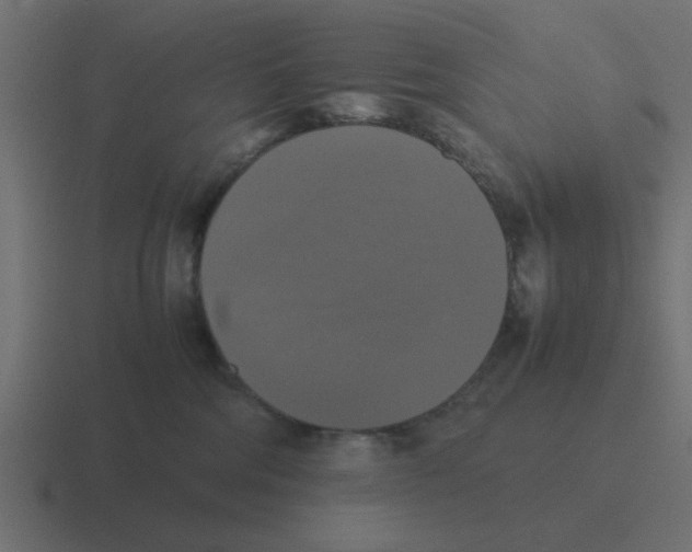 X0000116420330200912291854