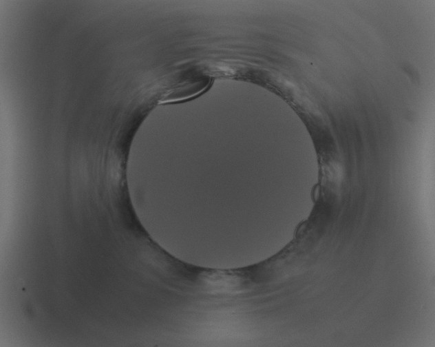 X0000116420331200912291854