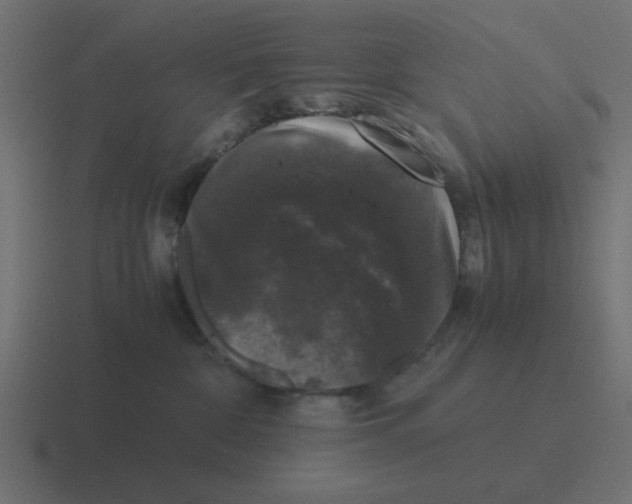 X0000116420332200912291853