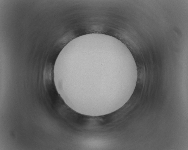 X0000116420334200912291853