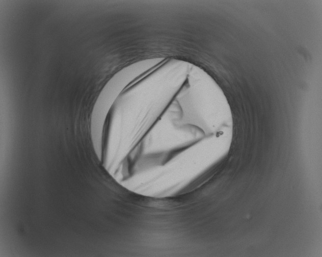 X0000116420336200912291853