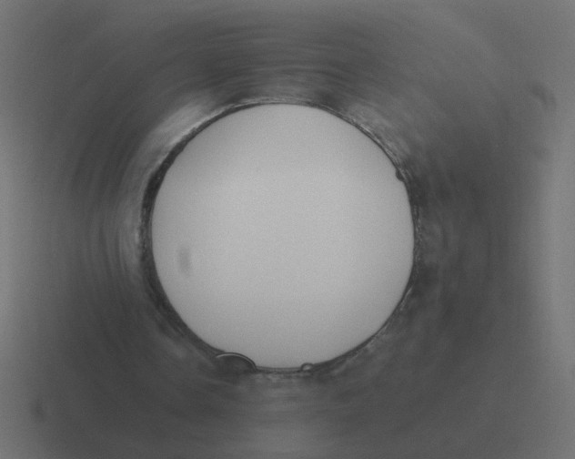 X0000116420338200912291853