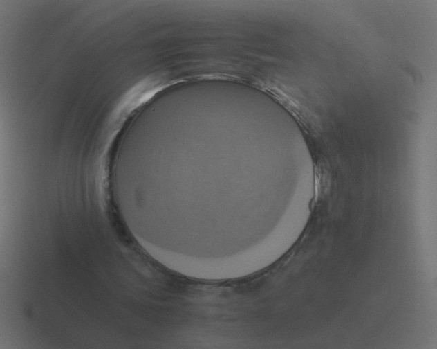 X0000116420339200912291853