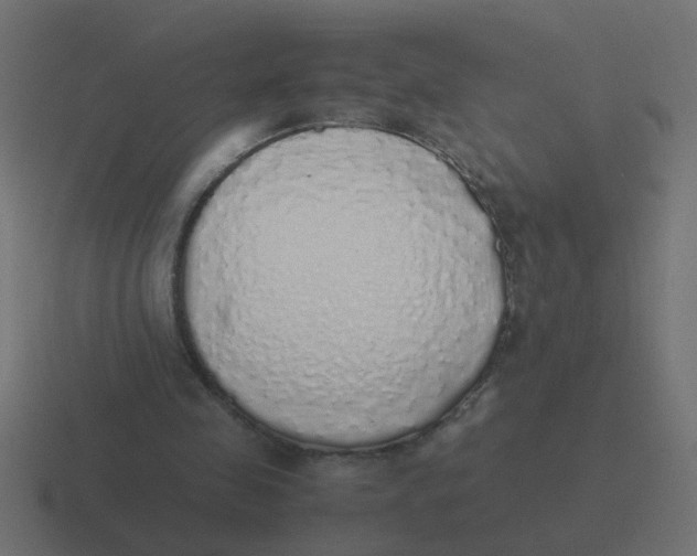 X0000116420341200912291853