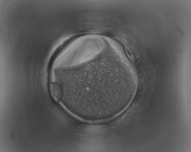 X0000116420342200912291853
