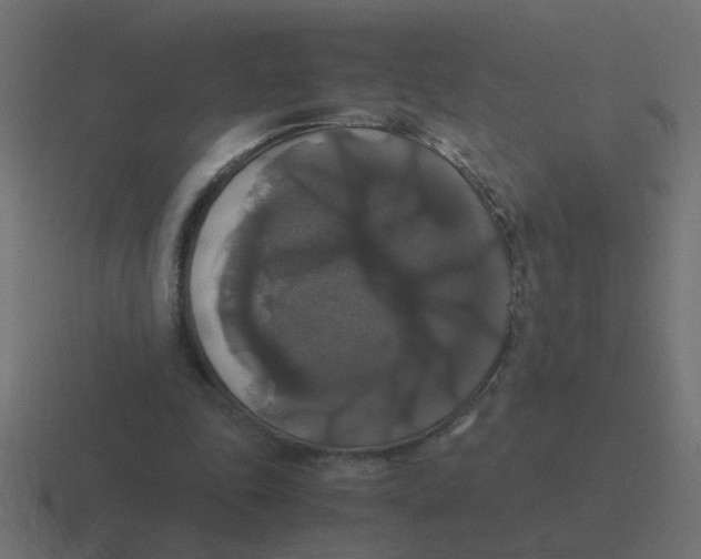 X0000116420343200912291853