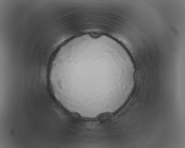 X0000116420345200912291853
