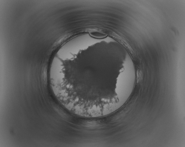 X0000116420349200912291853