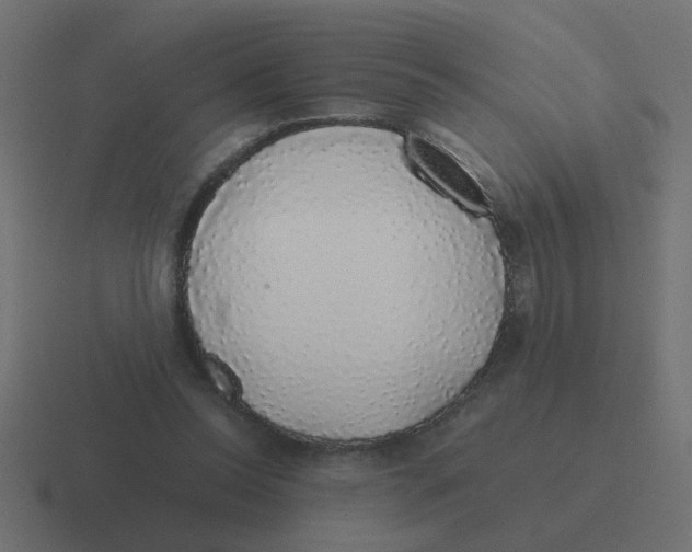 X0000116420350200912291853