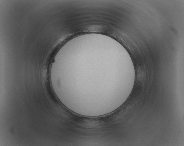 X0000116420351200912291853