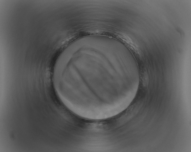 X0000116420366200912291853