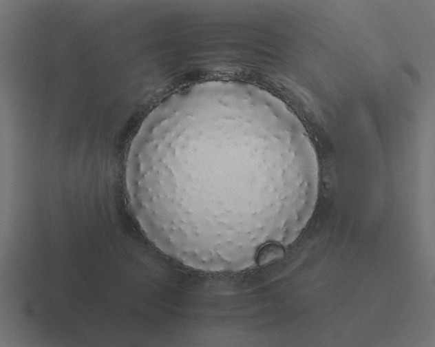 X0000116420369200912291853
