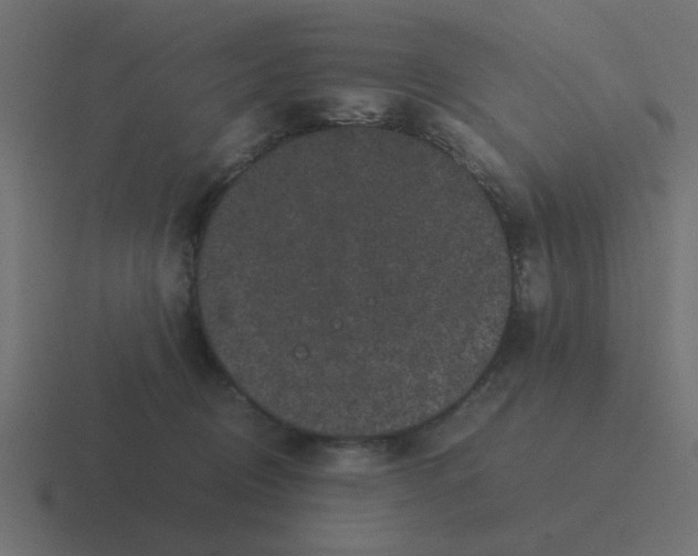 X0000116420370200912291853