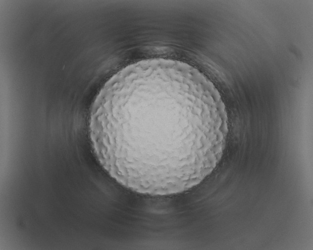X0000116420373200912291853