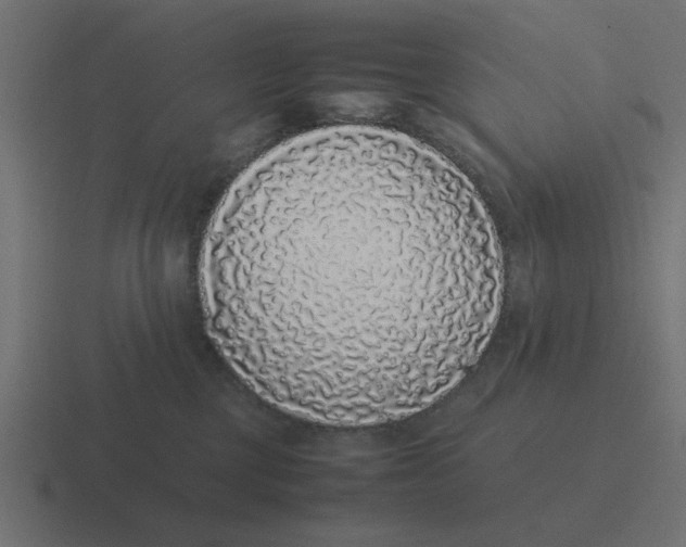 X0000116420377200912291853