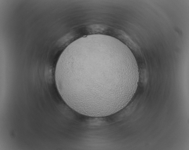 X0000116420378200912291853