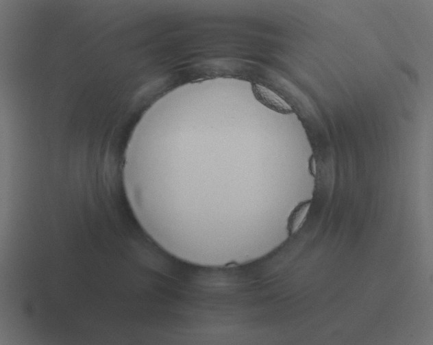 X0000116420381200912291853