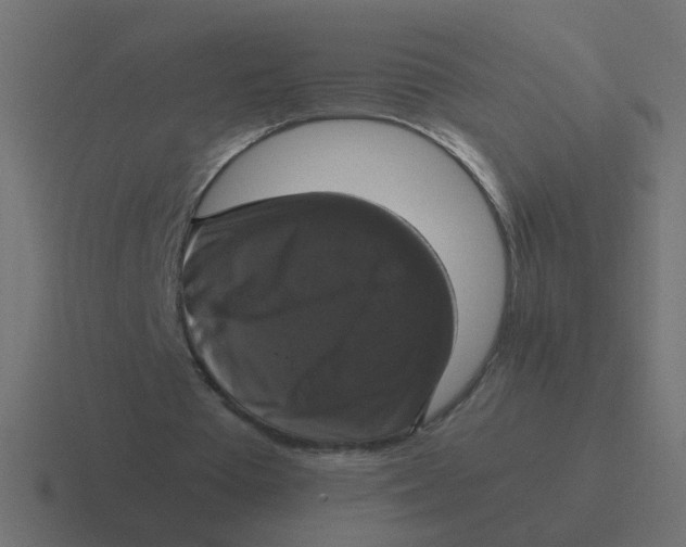 X0000116420385200912291853