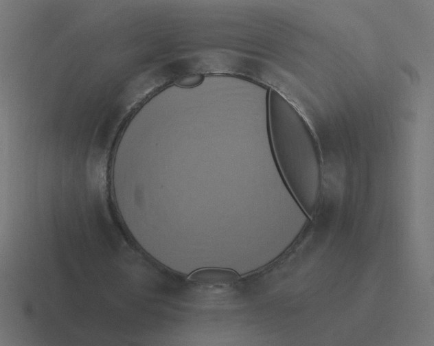 X0000116420386200912291853