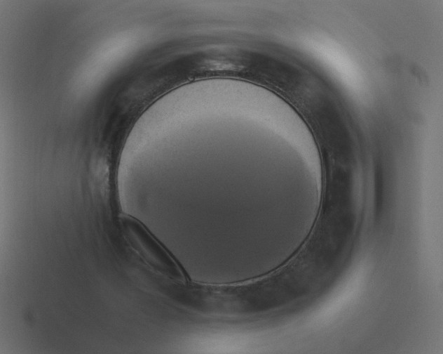 X0000116420387200912291853