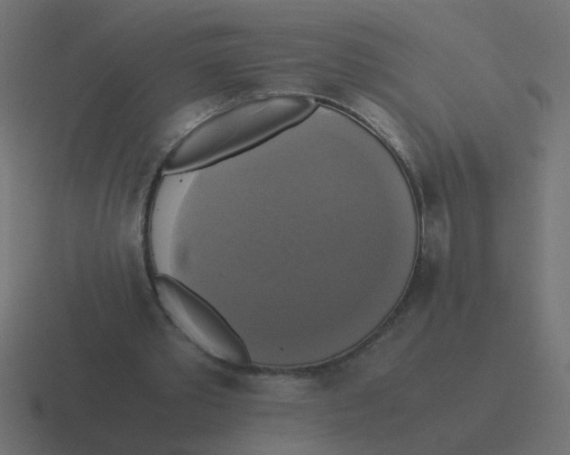 X0000116420389200912291853