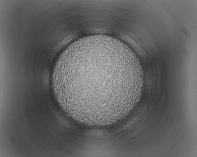 X0000116420394200912291853